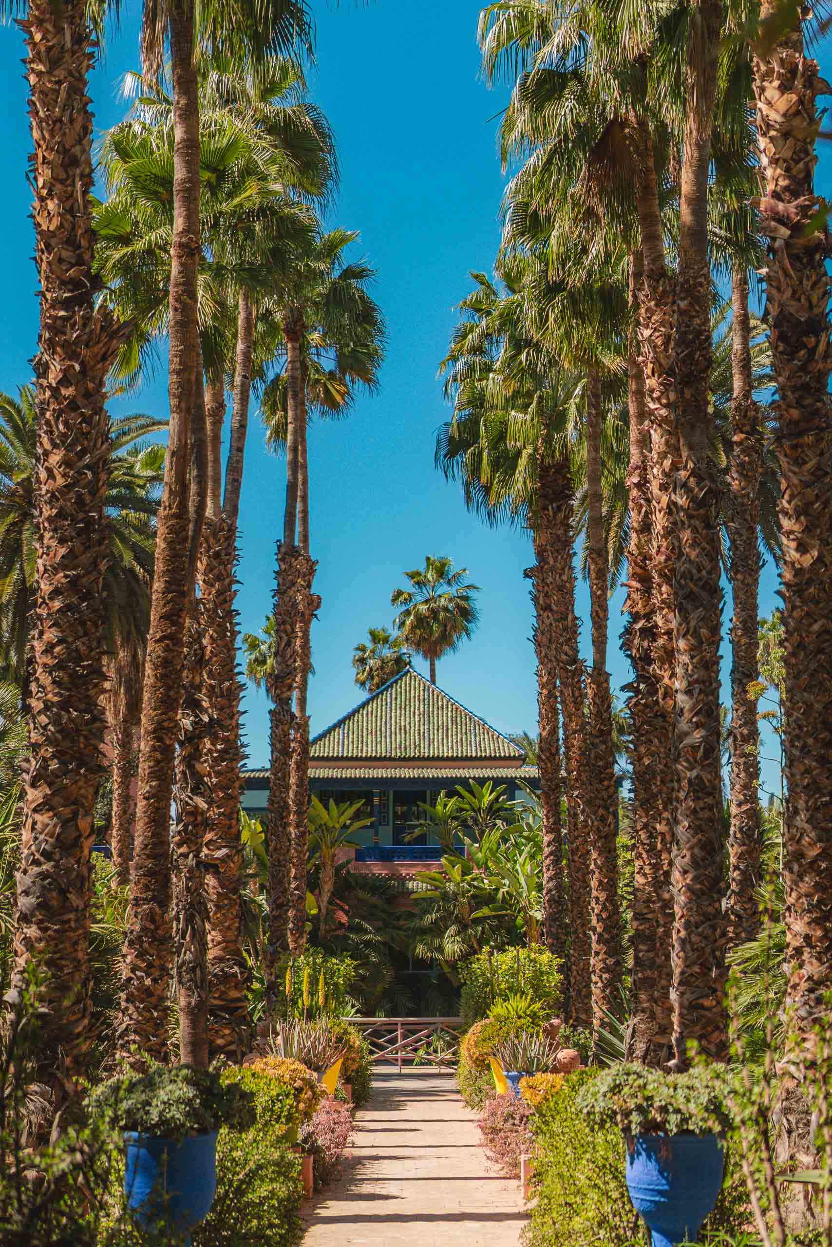 Majorelle
